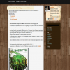 e-zine-scriiipt