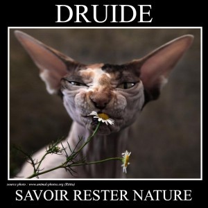 Druide : savoir rester nature