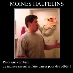 Moines Halfelins