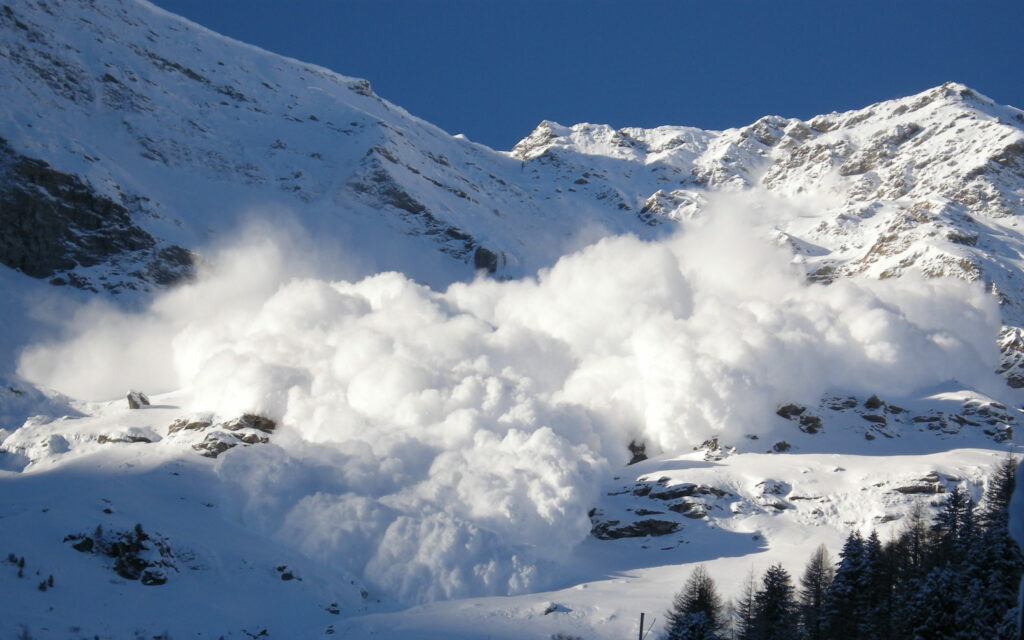 Survivre au froid