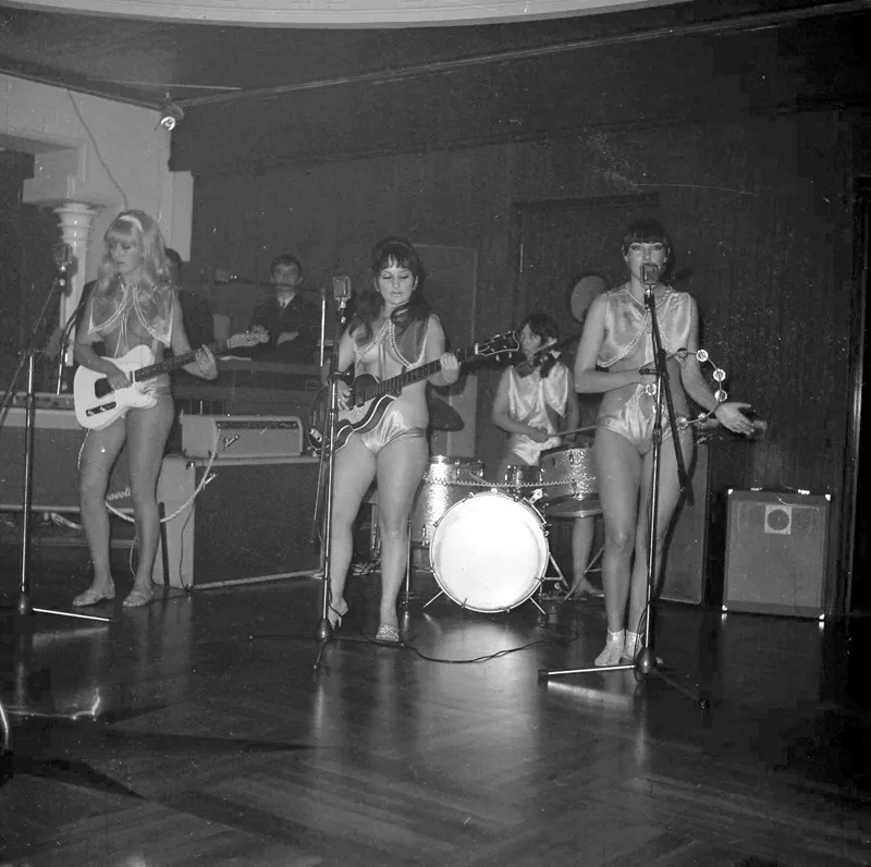 The ladybirds