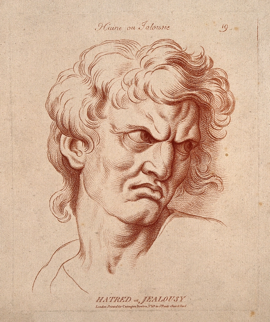 face expressing hatred jealousy. Crayon