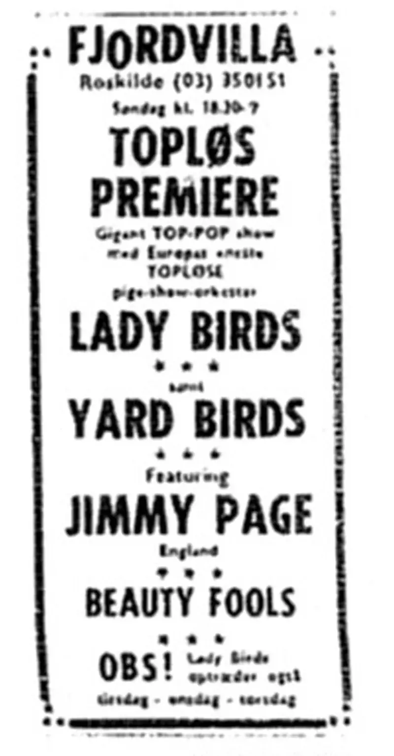 The ladybirds