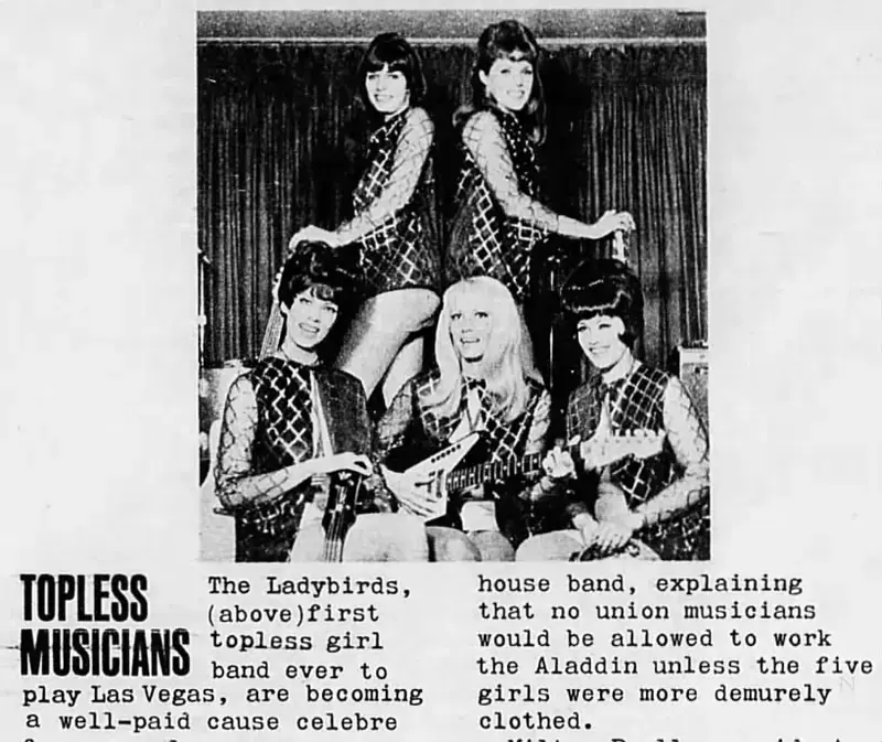 The ladybirds